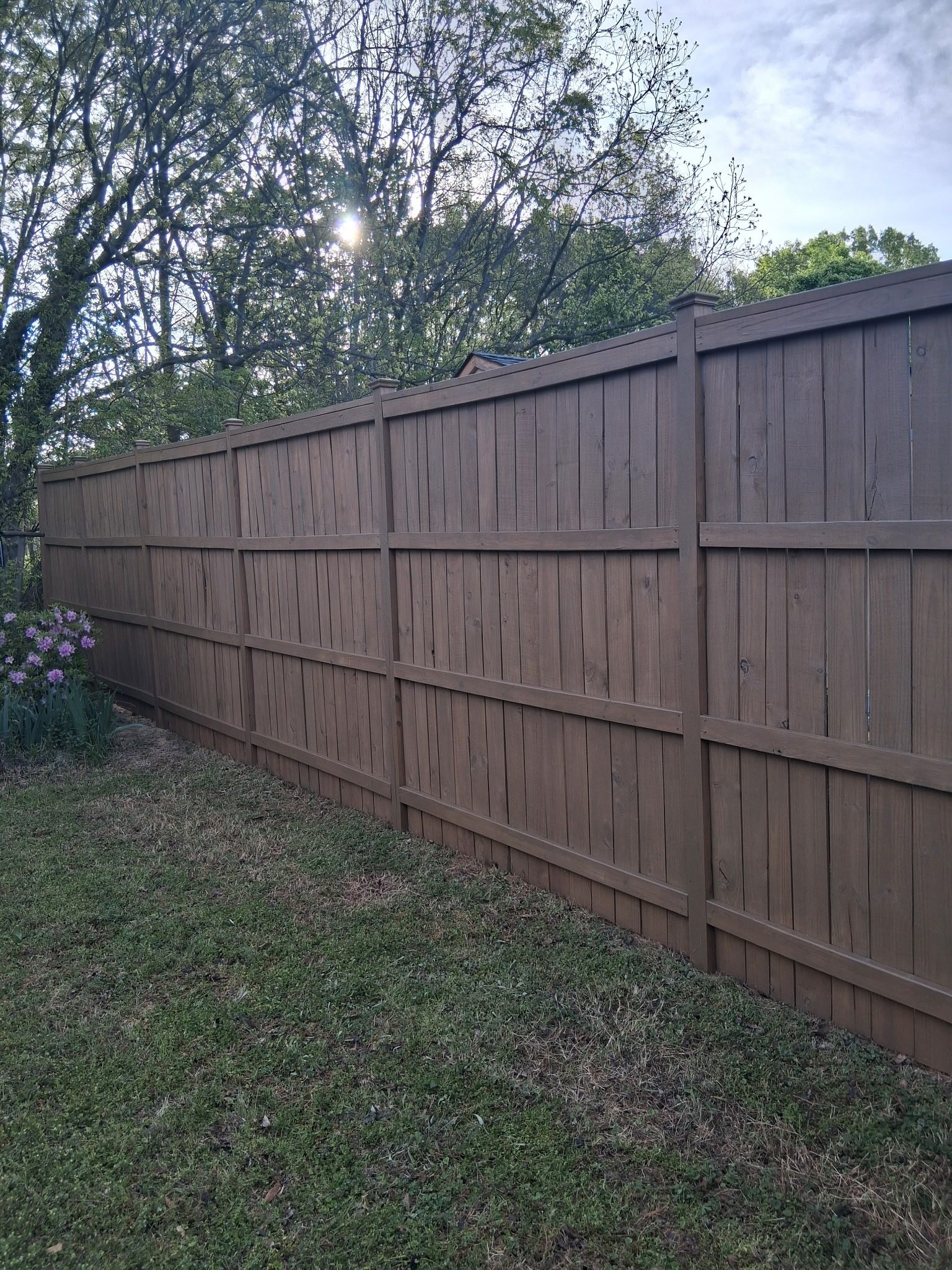 Wood privacy fence stained dark brown